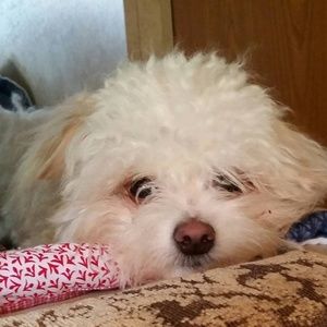 Meet your Posher, Tammy